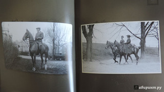 Лошади. Старинные открытки и иллюстрации 11