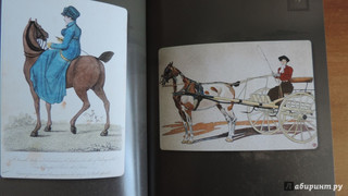 Лошади. Старинные открытки и иллюстрации 12