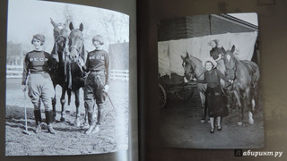 Лошади. Старинные открытки и иллюстрации 13