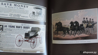 Лошади. Старинные открытки и иллюстрации 15