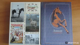 Лошади. Старинные открытки и иллюстрации 3