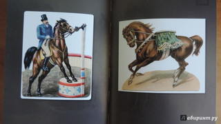 Лошади. Старинные открытки и иллюстрации 4