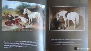 Лошади. Старинные открытки и иллюстрации 6