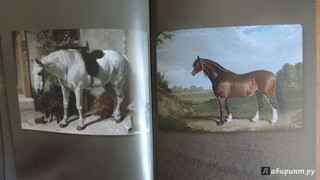 Лошади. Старинные открытки и иллюстрации 7