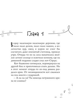 Тайна шкатулки с привидением 3