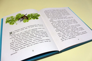 Такие разные бабушки 2