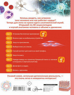 Тело человека 6