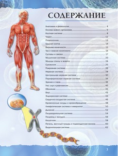 Тело человека 2