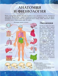 Тело человека 3