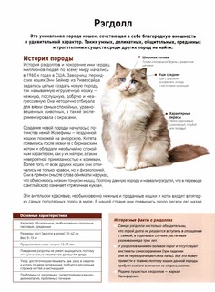 Все породы кошек. Большая иллюстрированная энциклопедия 2