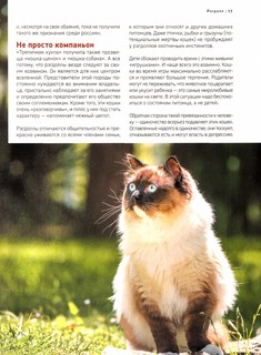 Все породы кошек. Большая иллюстрированная энциклопедия 3