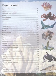 Подводный мир. Простая наука 4D 3