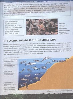 Подводный мир. Простая наука 4D 4