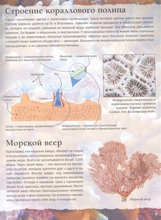 Подводный мир. Простая наука 4D 6