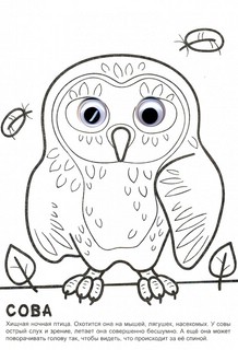 Раскраска. Лесная прогулка (с глазками) 2