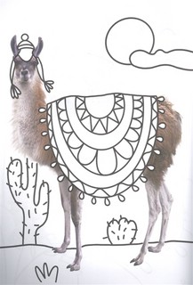 Раскраска с фото. Милые зверята 3