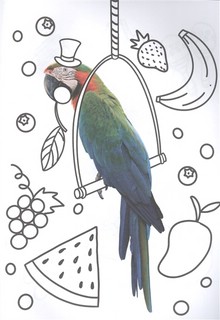 Раскраска с фото. Милые зверята 4