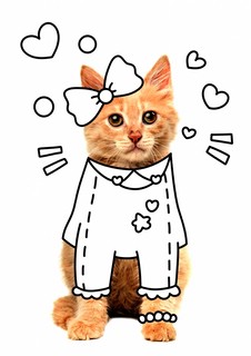 Раскраска с фото. Пушистики 2