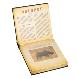 Сафари. Фотикулярная книга 10