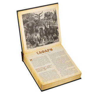 Сафари. Фотикулярная книга 7