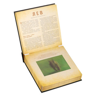 Сафари. Фотикулярная книга 8