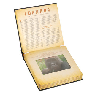 Сафари. Фотикулярная книга 9