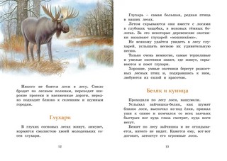 Год в лесу. Рассказы о природе 4