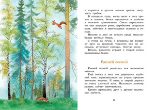 Год в лесу. Рассказы о природе 6