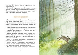 Год в лесу. Рассказы о природе 7