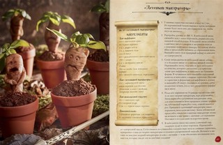Кулинарная книга Гарри Поттера 5