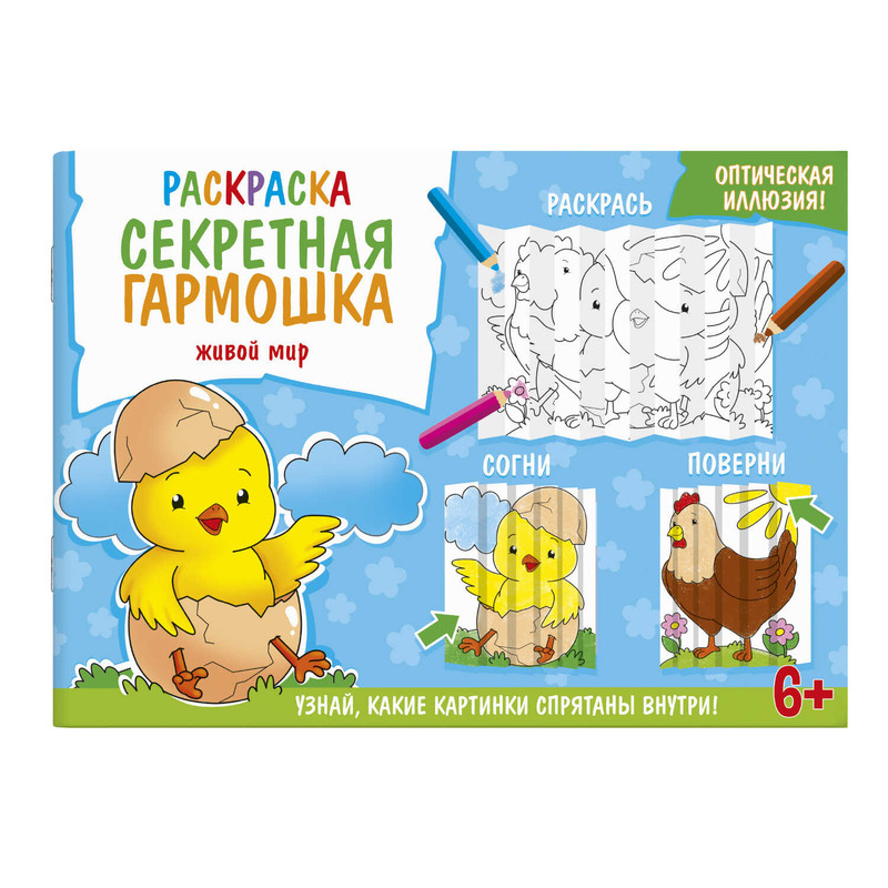 Раскраска для детей 'Секретная гармошка. Животный мир'