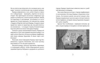 Сюрприз для Синьорины Корицы 5