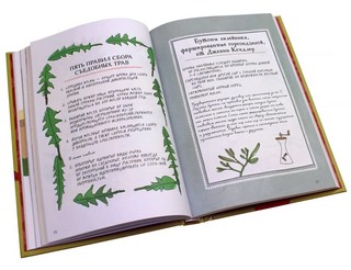 Анатомия природы. Занимательные детали мира природы 10