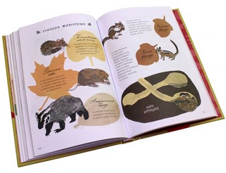 Анатомия природы. Занимательные детали мира природы 13