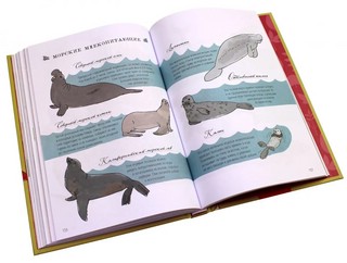 Анатомия природы. Занимательные детали мира природы 14