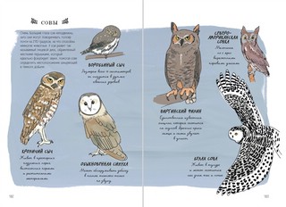 Анатомия природы. Занимательные детали мира природы 7