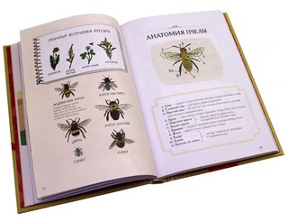 Анатомия природы. Занимательные детали мира природы 9