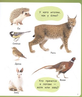 Изучаю мир. Моя первая фотокнига 4