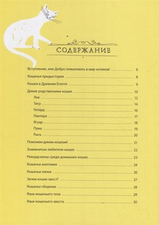 А вот и кот 2