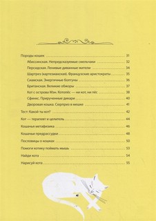 А вот и кот 3