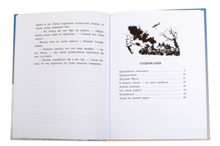 Штурман Фрося 8