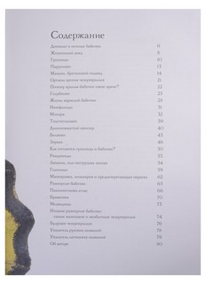 Загадочный мир бабочек 2