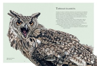 Тайны дикой природы 3
