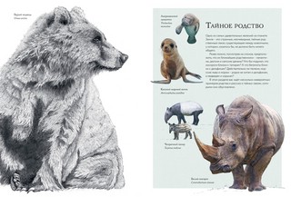 Тайны дикой природы 4