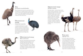 Тайны дикой природы 5