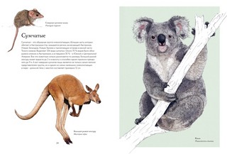 Тайны дикой природы 6