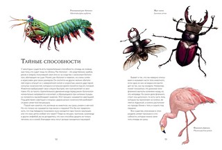 Тайны дикой природы 7