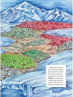 Природа России: от Арктики до пустыни. Моё первое путешествие 5