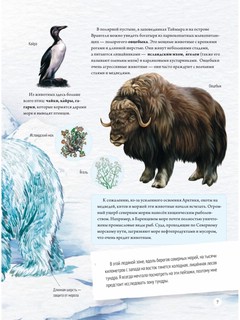 Природа России: от Арктики до пустыни. Моё первое путешествие 7