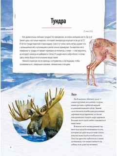 Природа России: от Арктики до пустыни. Моё первое путешествие 8